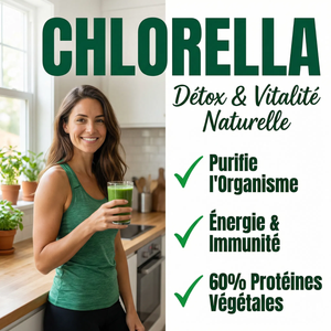 Chlorelle Poudre Pure | Chlorella Détox Métaux Lourds, Chlorophylle | Superaliment 60% Protéines, Fer, Vitamines | Soutien Immunité, Énergie, Digestion | Paroi Cellulaire Éclatée | Vulgaris
