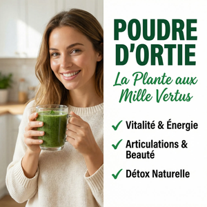 Poudre d'Ortie Pure | Riche en Fer Silice Minéraux Vitamines | Cheveux Peau Ongles | Articulations Confort Urinaire | Détox Anti-inflammatoire | Urtica Dioica Vegan Sachet Refermable