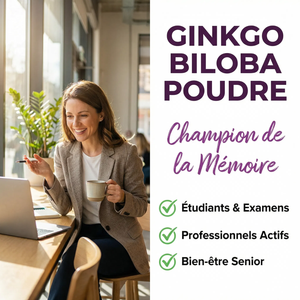Ginkgo Biloba Poudre Feuille Pure | Mémoire Concentration Performances Intellectuelles | Circulation Cérébrale Oxygénation Cerveau | Antioxydant Neuroprotecteur | Sachet Refermable