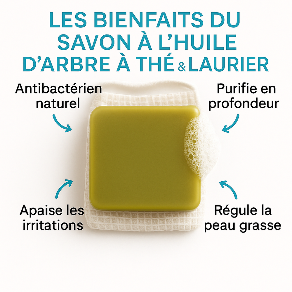 Savon Tea Tree & Laurier | Purifiant Anti-Imperfections | Nettoyant Doux Peaux Grasses Acnéiques | Régule Sébum & Points Noirs | 100% Naturel Visage & Corps