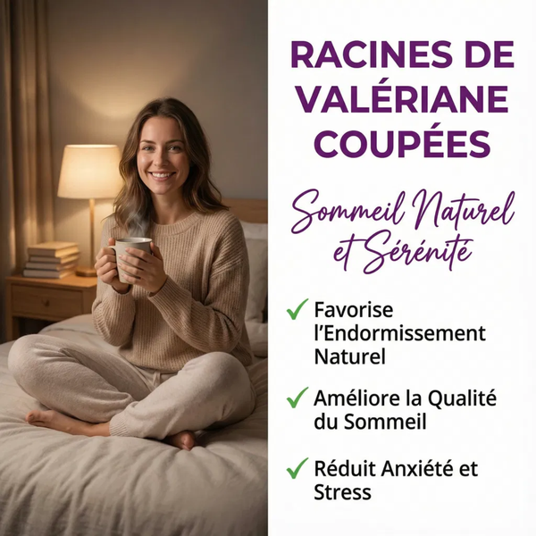 Racine de Valériane Coupée pour Tisane et Décoction | Sommeil Naturel Profond et Réparateur | Anti Stress Anxiété | Relaxation Musculaire | Qualité Supérieure Sachet Refermable