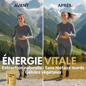 Shilajit 250mg Acide Fulvique