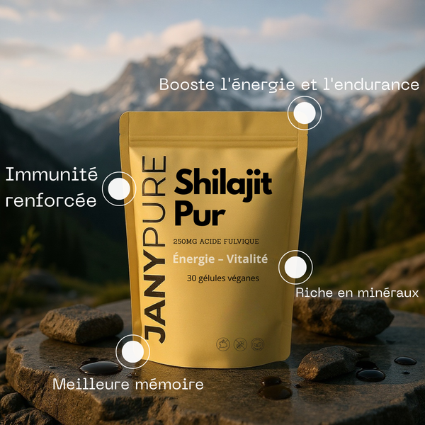 Pack Énergie Mentale | Shilajit + Ginkgo