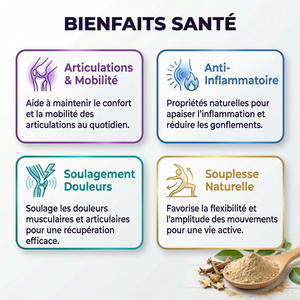 Harpagophytum Poudre Griffe du Diable | Articulations Mobilité Confort Articulaire | Anti- Inflammatoire Naturel Douleurs Musculaires | Souplesse Bien-être | Sachet Refermable