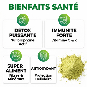 Poudre de Brocoli | Riche en Sulforaphane & Vitamine C | Superaliment Détox & Antioxydant | Soutien Immunitaire & Digestif |  100% Pur, Vegan, Cru | Pour Smoothies & Recettes