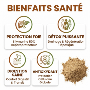 Poudre de Graines de Chardon-Marie Dégraissée |  80% Silymarine | Détox Foie, Protection  Hépatique, Digestion | Silybum Marianum | Riche en Protéines & Fibres | Vegan