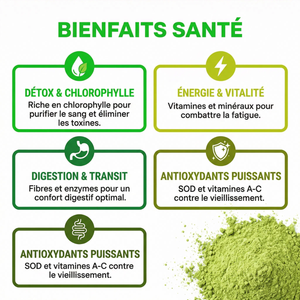 Poudre d'Herbe d'Orge | Superaliment Vert Riche en Chlorophylle | Détox, Énergie, Vitalité | Pour Smoothie, Jus, Boissons | Pure, Qualité Premium | Sachet 250g