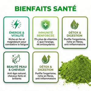 Poudre de Moringa Oleifera Pure | Superaliment Arbre de Vie | Riche en Protéines Vitamines Minéraux Antioxydants | Énergie Immunité Détox | Cheveux Peau Vitalité | Vegan Sachet Refermable