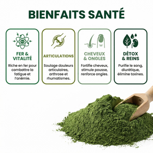 Poudre d'Ortie Pure | Riche en Fer Silice Minéraux Vitamines | Cheveux Peau Ongles | Articulations Confort Urinaire | Détox Anti-inflammatoire | Urtica Dioica Vegan Sachet Refermable