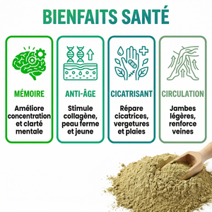 Gotu Kola Poudre Pure (Centella Asiatica) | Booster Cerveau, Mémoire, Concentration | Anti- Âge, Stimule Collagène, Cicatrisant Peau | Circulation Sanguine, Stress | Herbe du Tigre  Ayurvédique