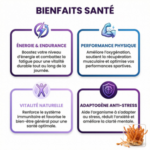 Cordyceps Poudre Pure Champignon Médicinal | Énergie Endurance Performance Physique | Adaptogène Anti-Stress Vitalité | Immunité Défenses Naturelles | Sachet Refermable