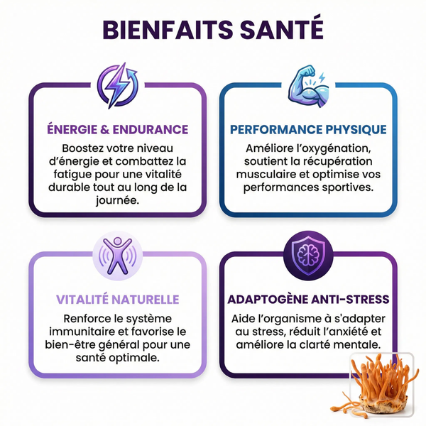 Cordyceps Poudre Pure Champignon Médicinal | Énergie Endurance Performance Physique | Adaptogène Anti-Stress Vitalité | Immunité Défenses Naturelles | Sachet Refermable
