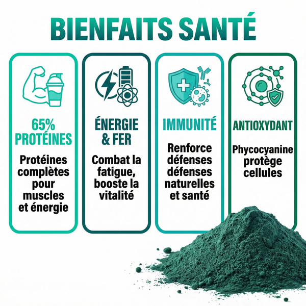 Spiruline Poudre Pure |  65% Protéines Végétales, Fer, Vitamines | Superaliment Énergie, Vitalité, Immunité, Sport | Riche en Phycocyanine Antioxydant | Détox | Arthrospira Platensis
