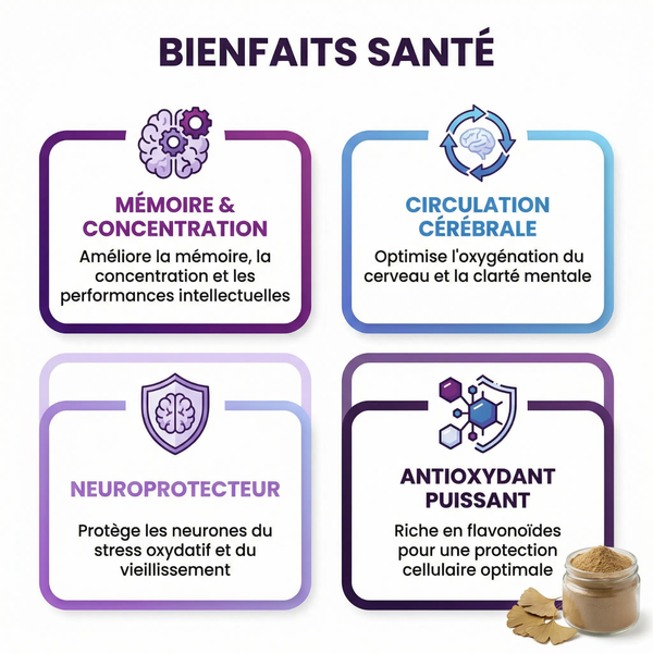 Ginkgo Biloba Poudre Feuille Pure | Mémoire Concentration Performances Intellectuelles | Circulation Cérébrale Oxygénation Cerveau | Antioxydant Neuroprotecteur | Sachet Refermable