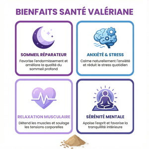 Valeriane Poudre Racine | Sommeil Naturel Profond Réparateur | Anti Stress Anxiété | Relaxation Musculaire Détente | Sérénité Mentale Bien-être | Qualité Supérieure Sachet Refermable