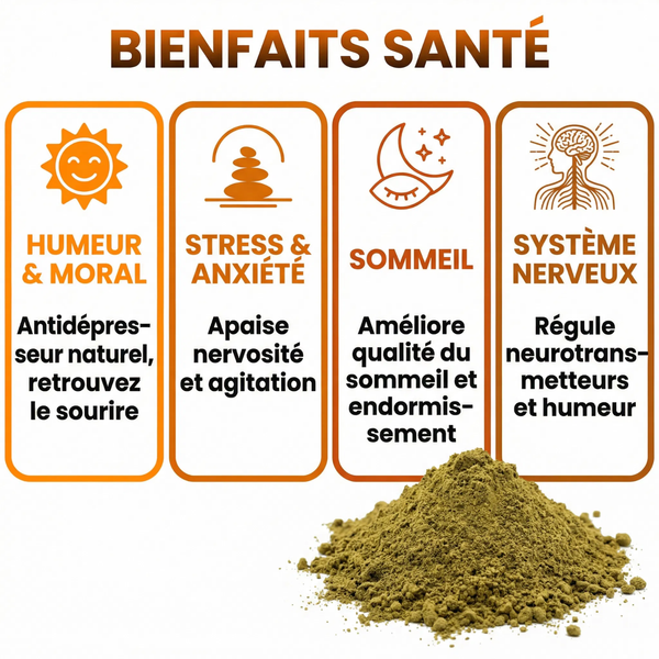 Millepertuis Poudre Pure (Hypericum Perforatum) | Soutien Humeur Positive, Moral, Bien- Être Mental | Contre Stress, Anxiété, Tristesse | Améliore Sommeil | Herbe de la Saint-Jean