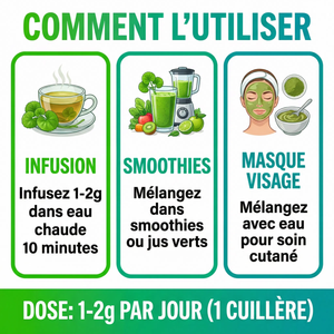 Gotu Kola Poudre Pure (Centella Asiatica) | Booster Cerveau, Mémoire, Concentration | Anti- Âge, Stimule Collagène, Cicatrisant Peau | Circulation Sanguine, Stress | Herbe du Tigre  Ayurvédique