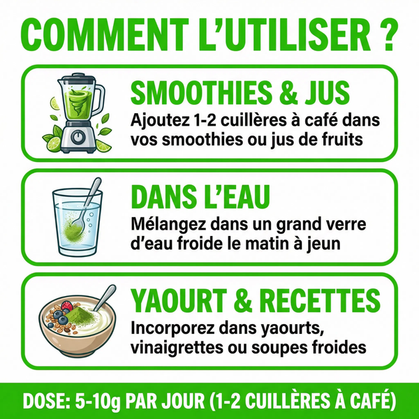 Poudre d'Herbe d'Orge | Superaliment Vert Riche en Chlorophylle | Détox, Énergie, Vitalité | Pour Smoothie, Jus, Boissons | Pure, Qualité Premium | Sachet 250g