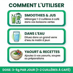 Chlorelle Poudre Pure | Chlorella Détox Métaux Lourds, Chlorophylle | Superaliment 60% Protéines, Fer, Vitamines | Soutien Immunité, Énergie, Digestion | Paroi Cellulaire Éclatée | Vulgaris