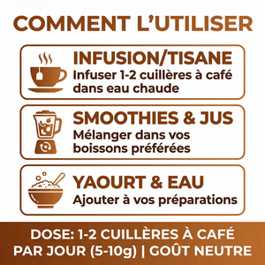 Poudre de Graines de Chardon-Marie Dégraissée |  80% Silymarine | Détox Foie, Protection  Hépatique, Digestion | Silybum Marianum | Riche en Protéines & Fibres | Vegan