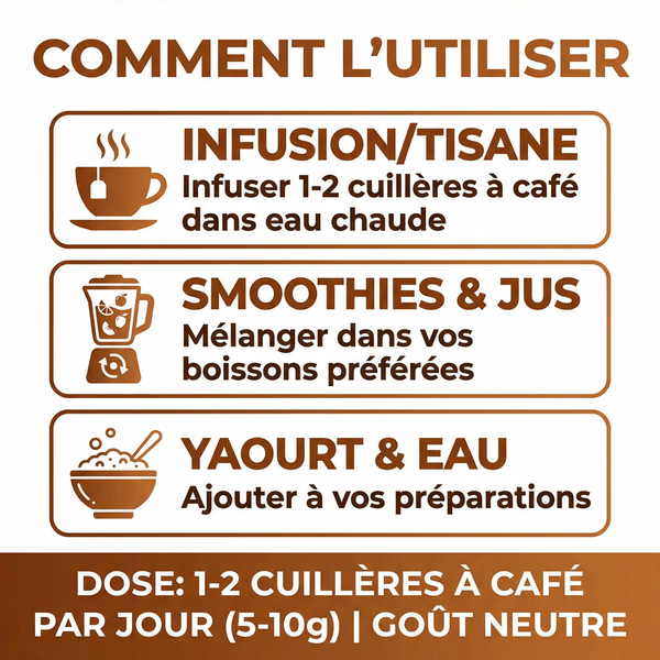 Poudre de Graines de Chardon-Marie Dégraissée |  80% Silymarine | Détox Foie, Protection  Hépatique, Digestion | Silybum Marianum | Riche en Protéines & Fibres | Vegan