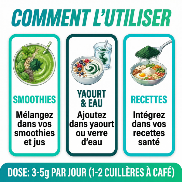 Spiruline Poudre Pure |  65% Protéines Végétales, Fer, Vitamines | Superaliment Énergie, Vitalité, Immunité, Sport | Riche en Phycocyanine Antioxydant | Détox | Arthrospira Platensis