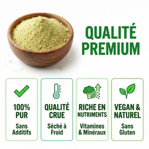 Poudre de Brocoli | Riche en Sulforaphane & Vitamine C | Superaliment Détox & Antioxydant | Soutien Immunitaire & Digestif |  100% Pur, Vegan, Cru | Pour Smoothies & Recettes