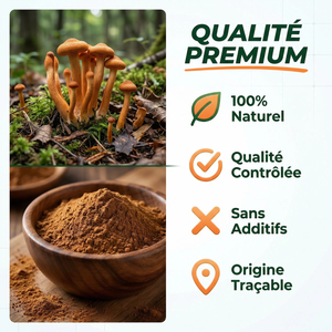 Cordyceps Poudre Pure Champignon Médicinal | Énergie Endurance Performance Physique | Adaptogène Anti-Stress Vitalité | Immunité Défenses Naturelles | Sachet Refermable