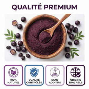 Poudre d'Açaï | Superaliment Antioxydant | Énergie, Vitalité, Immunité | Pour Smoothie Bowl, Yaourt, Boissons | Lyophilisée, Pure, Qualité Premium | Sachet Refermable